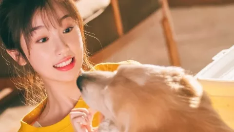 迪丽热巴平安回国